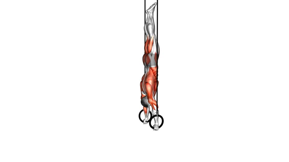 Ring Handstand to L-Sit - ManiacMuscle