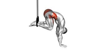 Read more about the article Ring Reverse Ab Rollout