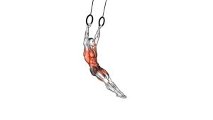 Read more about the article Ring Swing