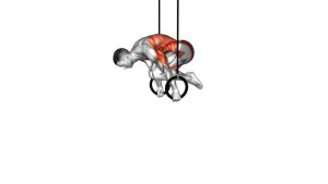 Read more about the article Ring Tuck Planche