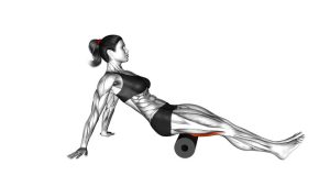 Read more about the article Seated Foam Roller Hamstring Roll