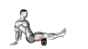 Read more about the article Seated Foam Roller Hamstring Mobilization