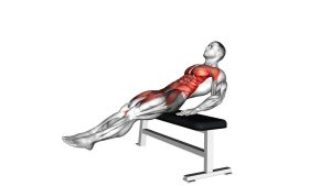 Read more about the article Seated Alternate Crunch