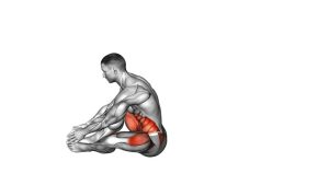 Read more about the article Seated Frog Half-to-Full Sit-Up