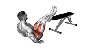 Read more about the article Seated Legs Circle Over Bench