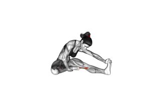 Read more about the article Seated Single-Leg Hamstring Stretch
