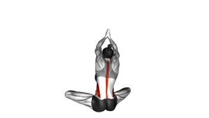Read more about the article Seated Upper Body Rotation