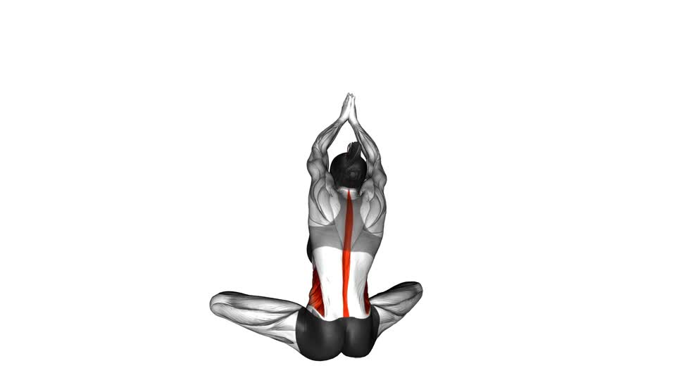 Seated Upper Body Rotation - ManiacMuscle