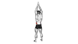 Read more about the article Side Bend Arms Above