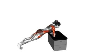 Read more about the article Supported Side Plank Rotation on a Padded Stool