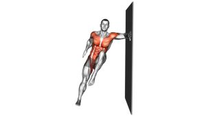 Read more about the article Wall-Supported Side Plank Single Knee Drive