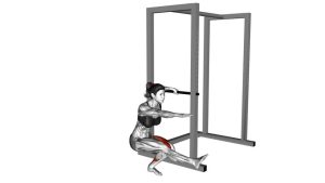 Read more about the article Single-Leg Squat with Support