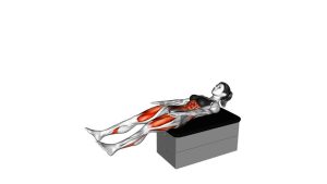 Read more about the article Sit-Up Stand-Up