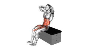 Read more about the article Sitting Air Twisting Crunch on a Padded Stool