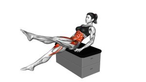 Read more about the article Sitting Flutter Kick on a Padded Stool