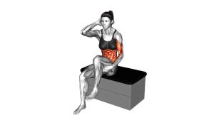 Read more about the article Sitting Side Crunch on a Padded Stool