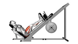 Read more about the article 45-Degree Sled Leg Press