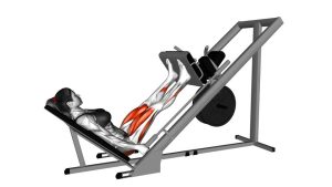 Read more about the article 45-Degree Sled Leg Press