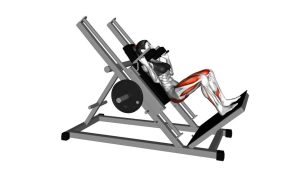 Read more about the article Sled Hack Squat
