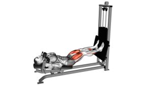 Read more about the article Sled Lying Squat