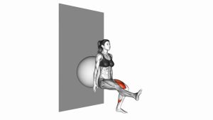 Read more about the article Stability Ball Single-Leg Squat