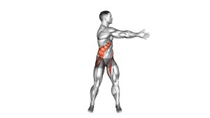 Read more about the article Standing Ab Twist