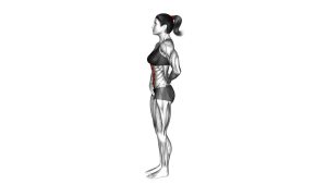 Read more about the article Standing Abdominal Vacuum