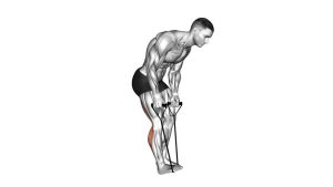 Read more about the article Standing Hamstring and Calf Stretch with Band