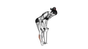 Read more about the article Standing Hamstring and Calf Stretch with Strap