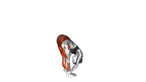 Read more about the article Standing Hamstring Stretch