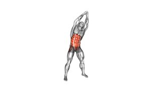 Read more about the article Standing Obliques Rotation