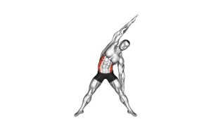 Read more about the article Standing Obliques Slides