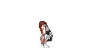 Read more about the article Standing Cross-Leg Reach Down Hamstring Stretch