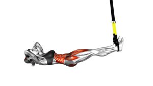 Read more about the article Suspension-Assisted Bicycle Crunch