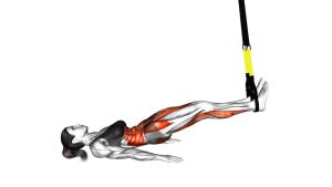 Read more about the article Suspended Hamstring Runner