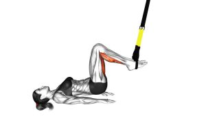 Read more about the article Suspended Leg Curl