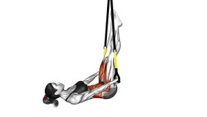 Read more about the article Suspension-Assisted Lying Leg Raise