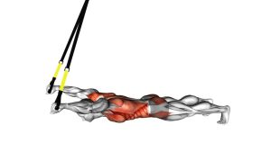 Read more about the article Suspension Trainer Prone Y Raise