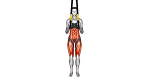 Read more about the article Suspended Side Lunge
