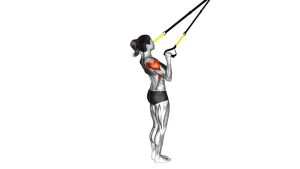 Read more about the article Suspension Trainer Y Raise