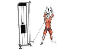 Read more about the article Standing Twist Turn Lift