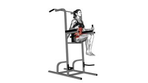 Read more about the article Vertical Leg Raise on Parallel Bars