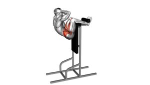 Read more about the article Vertical Sit-Up