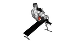 Read more about the article Weighted Decline Twist Sit-Up