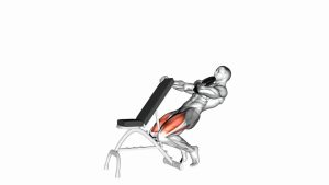 Read more about the article Weighted Bench-Assisted Sissy Squat