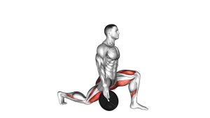 Read more about the article Weighted Stretch Lunge