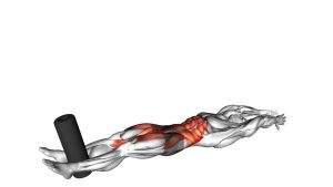 Read more about the article Weighted V-Up Passes with Pad